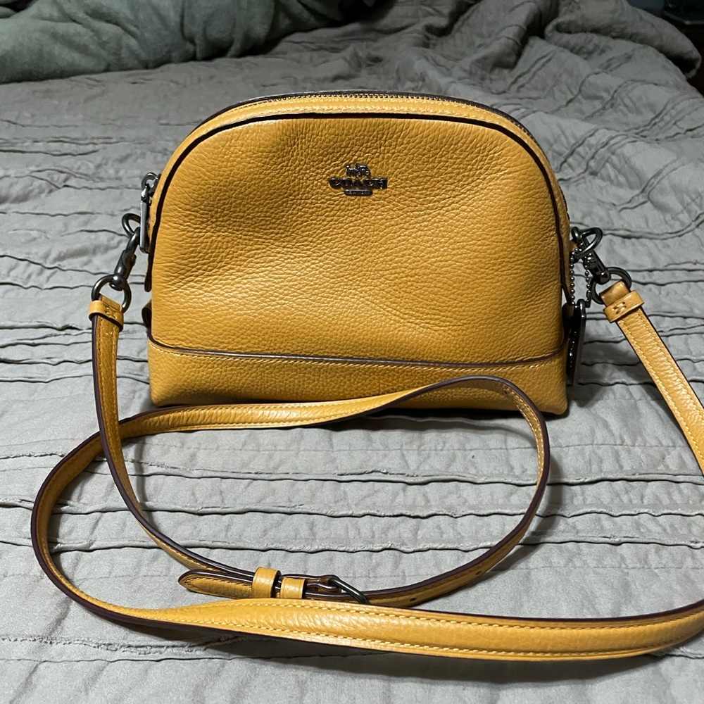 Coach dome crossbody
